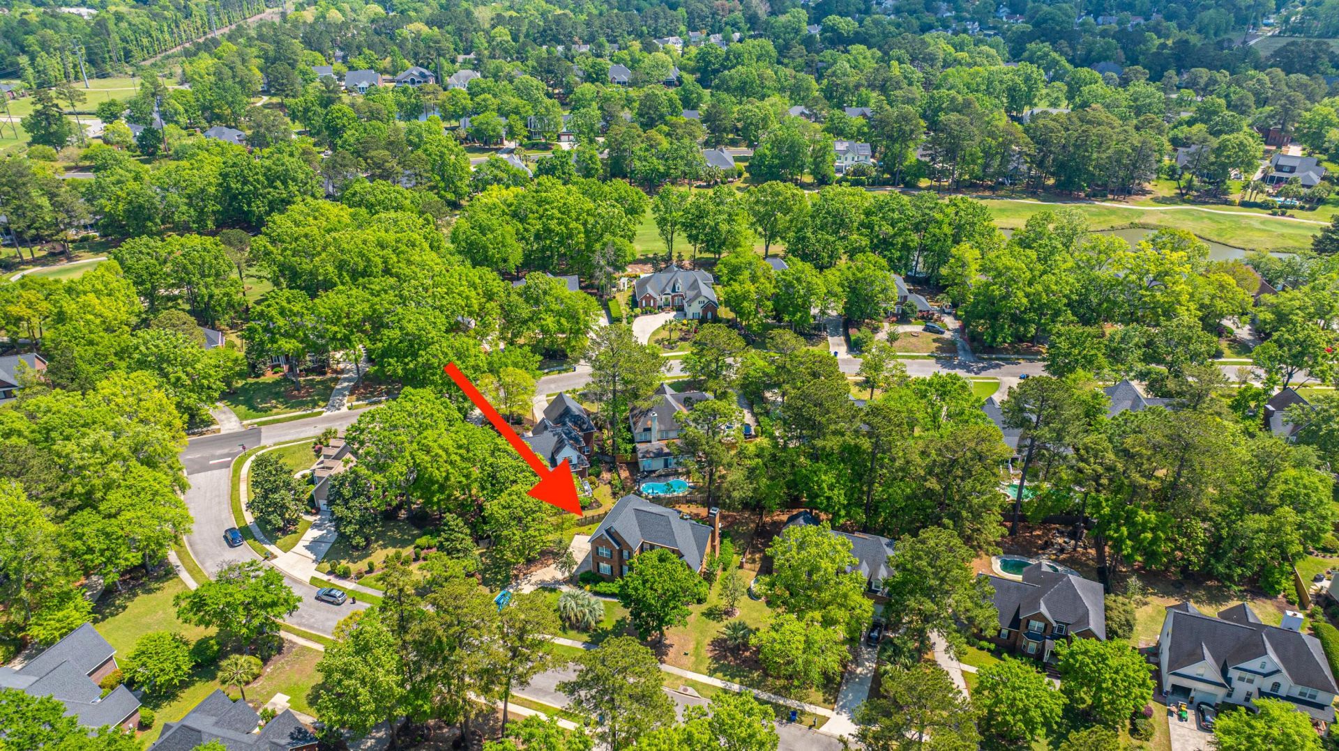 4407 Wild Thicket Lane Photo 44