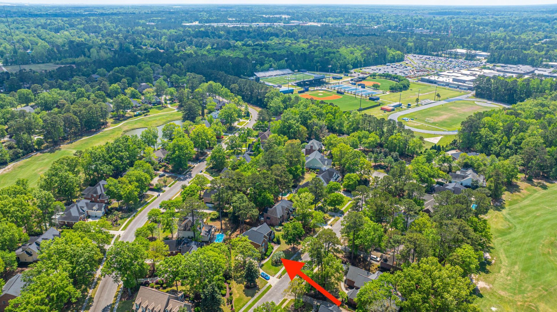 4407 Wild Thicket Lane Photo 45