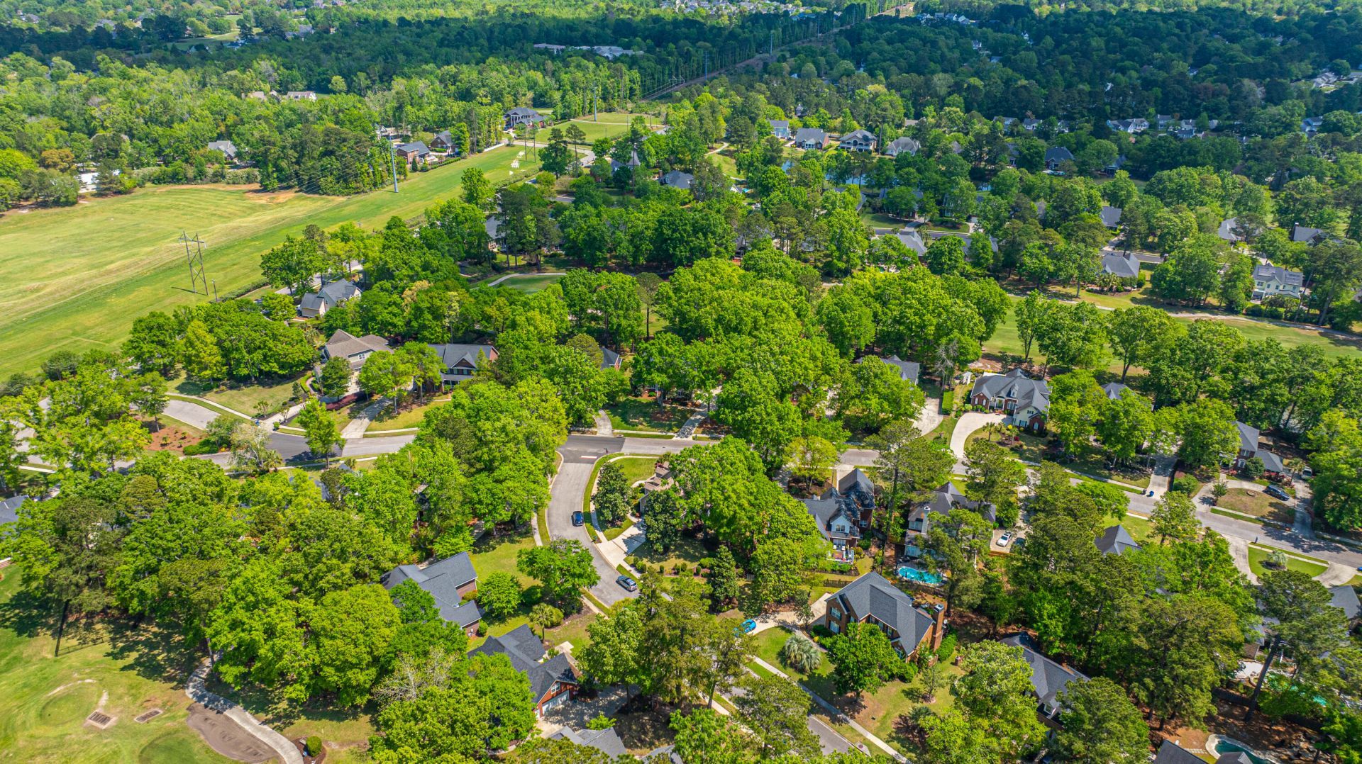 4407 Wild Thicket Lane Photo 48