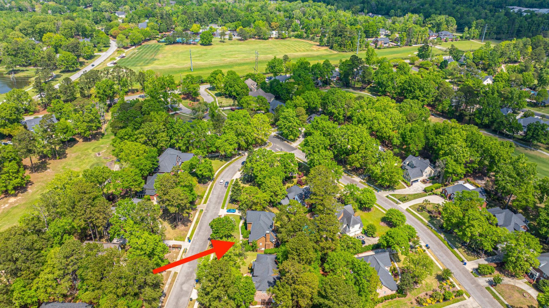 4407 Wild Thicket Lane Photo 49