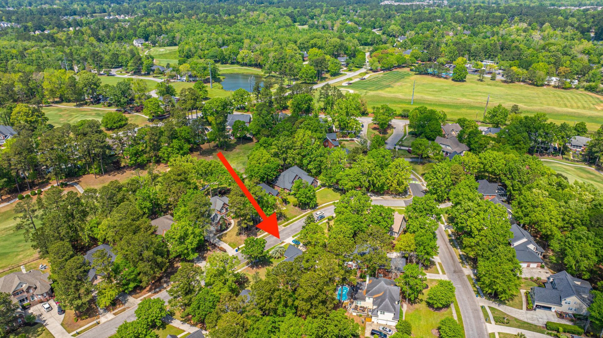 4407 Wild Thicket Lane Photo 50