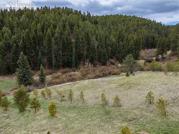 521 University Drive, Woodland Park, CO 80863