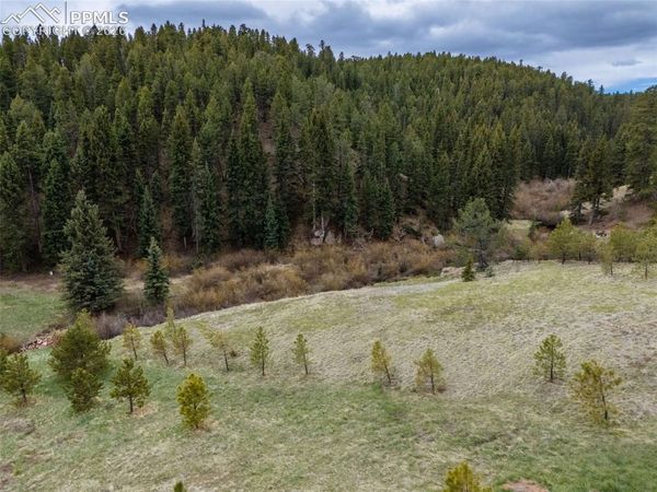 521 University Drive, Woodland Park, CO 80863