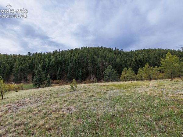 521 University Drive, Woodland Park, CO 80863