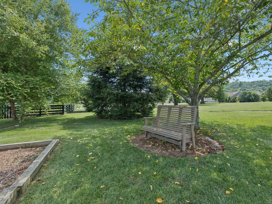 Property Image 67