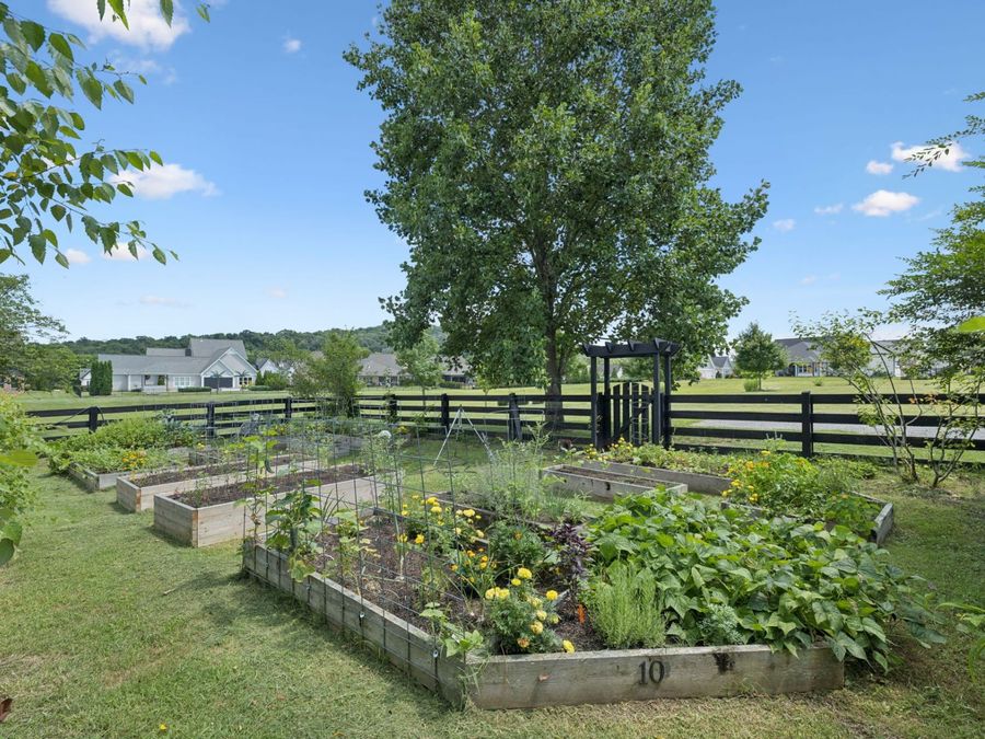 Property Image 68