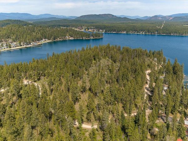 43989 Silver Beach Rd, Loon Lake, WA 99148