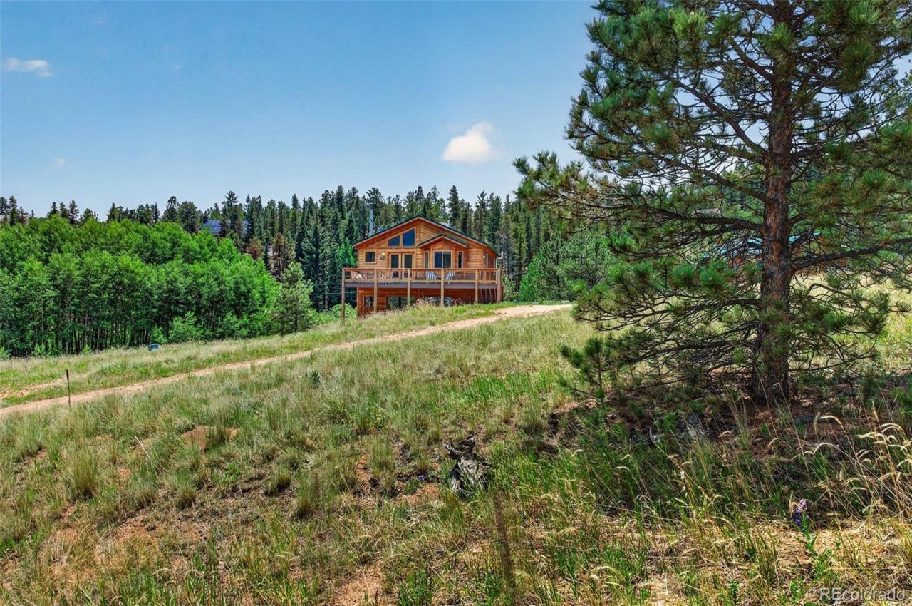 1328 Clark Road, Bailey, CO 80421 Main Photo