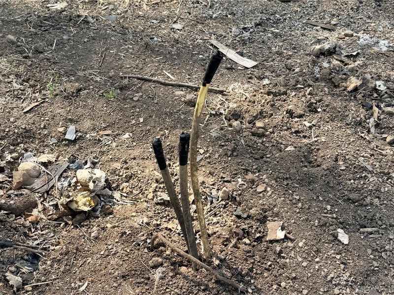 6599 W ST RT 121, New Paris, OH 45347 Photo 44