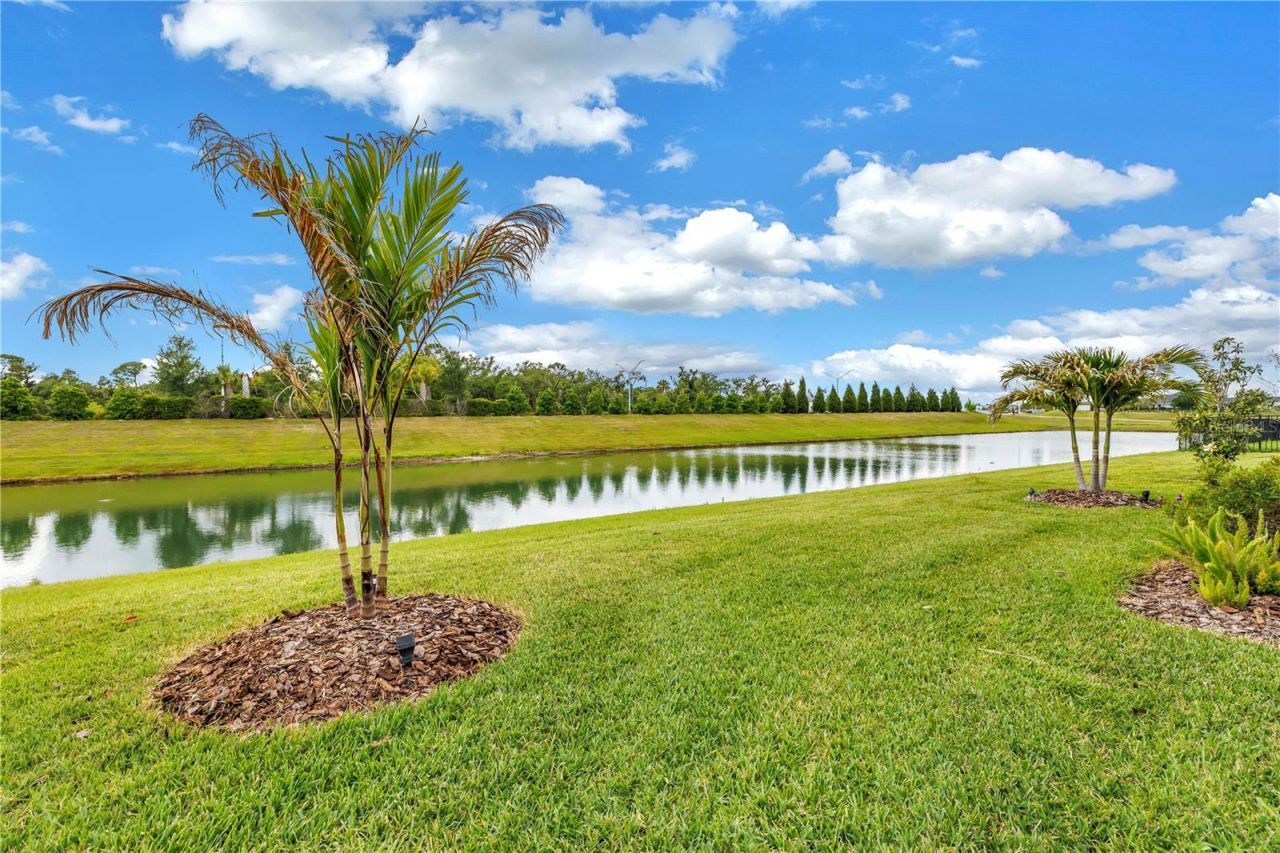 8217 Trimbelle, Parrish, FL 34219 Photo