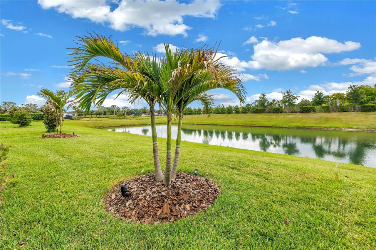 8217 Trimbelle, Parrish, FL 34219 Photo
