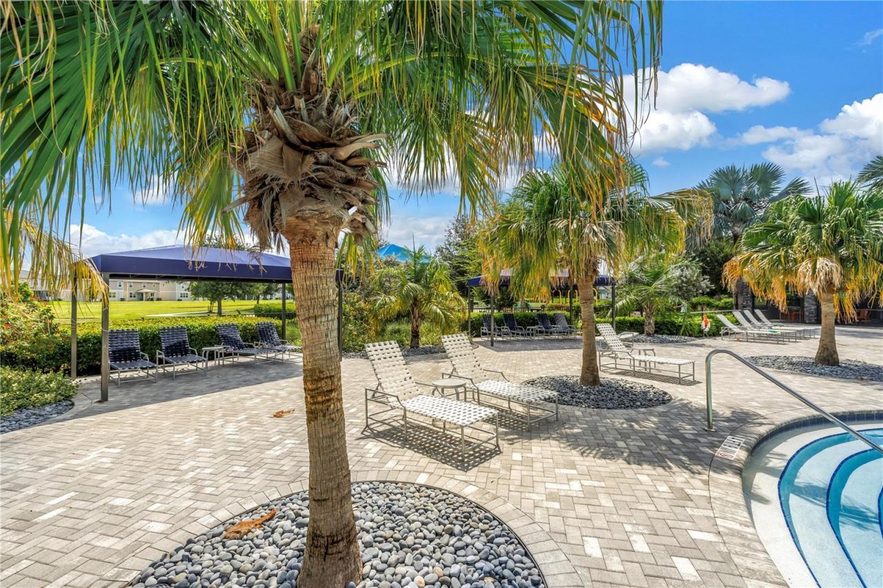 8217 Trimbelle, Parrish, FL 34219 Photo