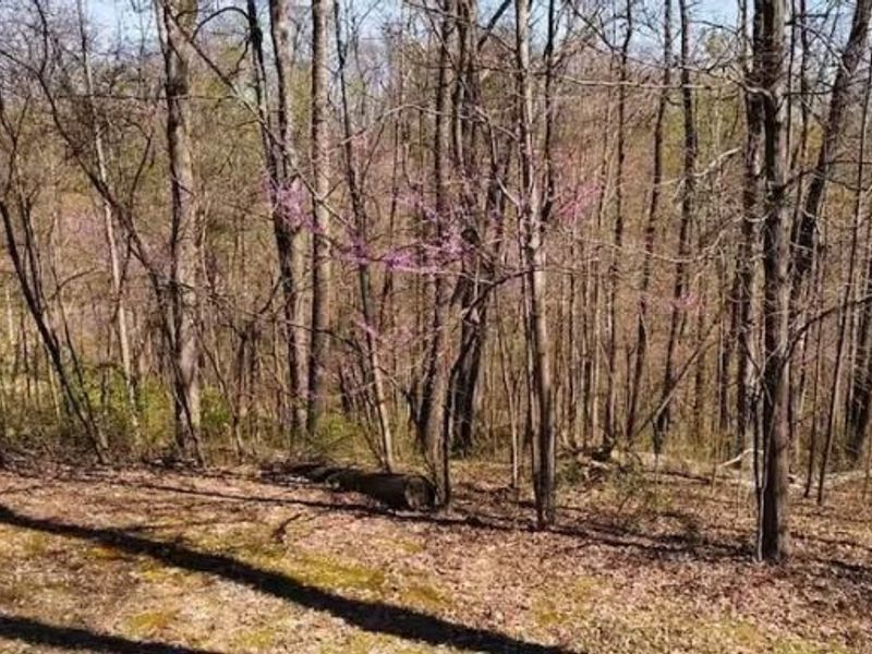 22916 Sams Creek Road , Laurelville, OH 43135 Photo 13