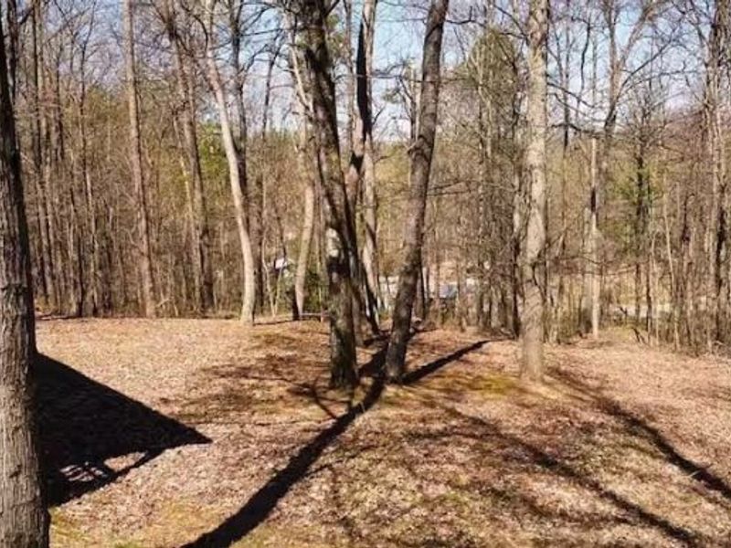 22916 Sams Creek Road , Laurelville, OH 43135 Photo 5