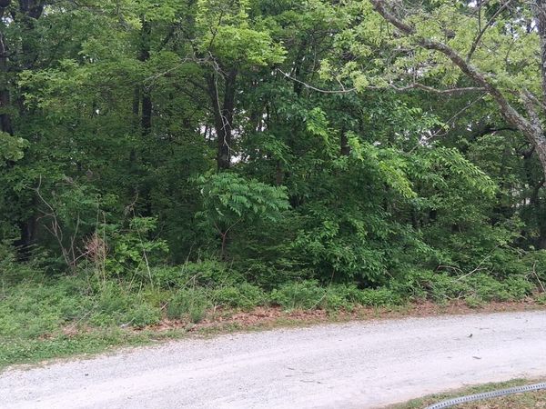 Fitch Street , Eucha, OK 74342