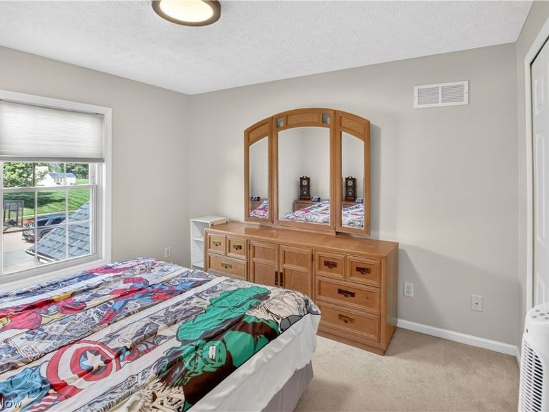 3089 Pondsford Drive, Medina, OH 44256 Photo 28