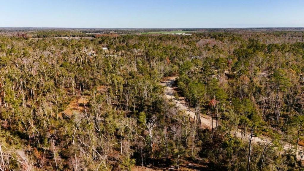 Lot 7 NW 27th Terrace, Jennings, FL 32053 Photo