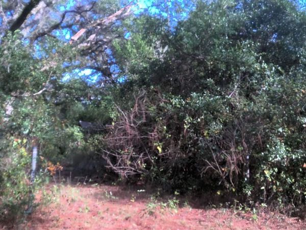 8731 Chisholm Rd, Pensacola, FL 32514