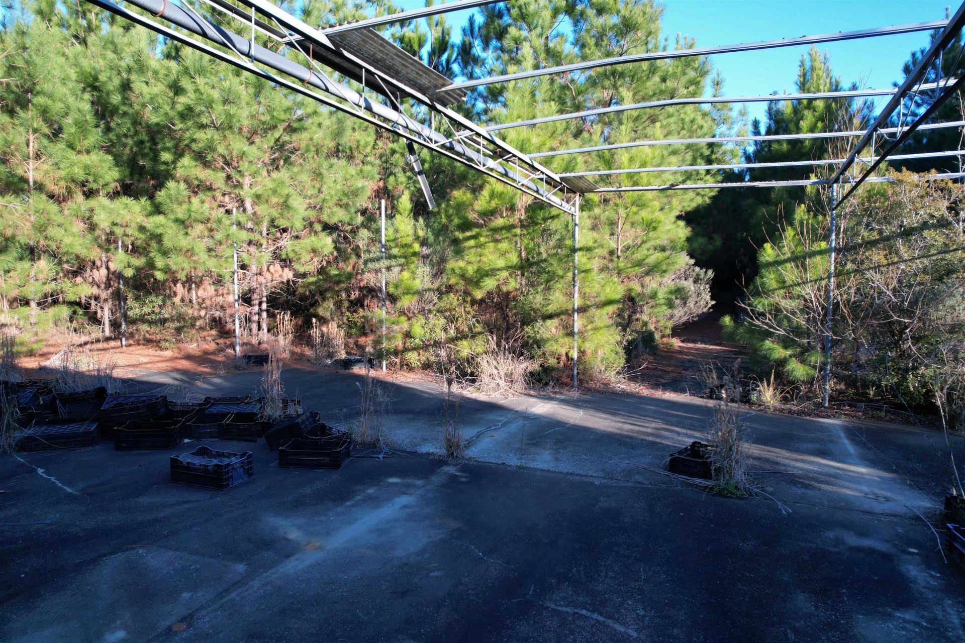 2386 Pennyroyal Rd. Photo 11
