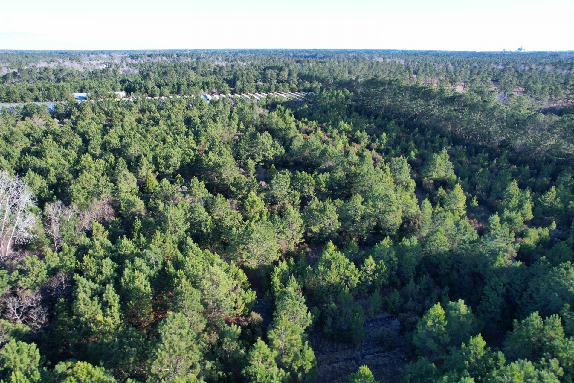 2386 Pennyroyal Rd. Photo 16