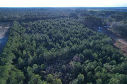 2386 Pennyroyal Rd. photo 4