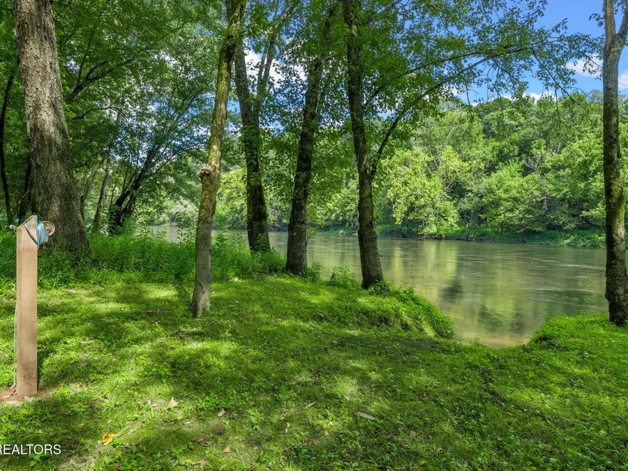 Property Image 59