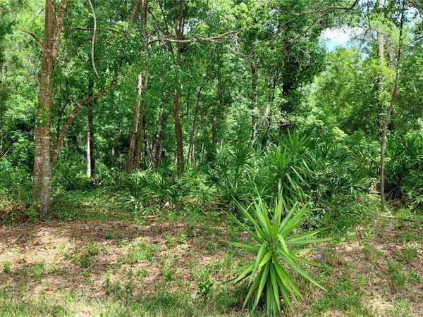 DAVISTA , NEW PORT RICHEY, FL 34654