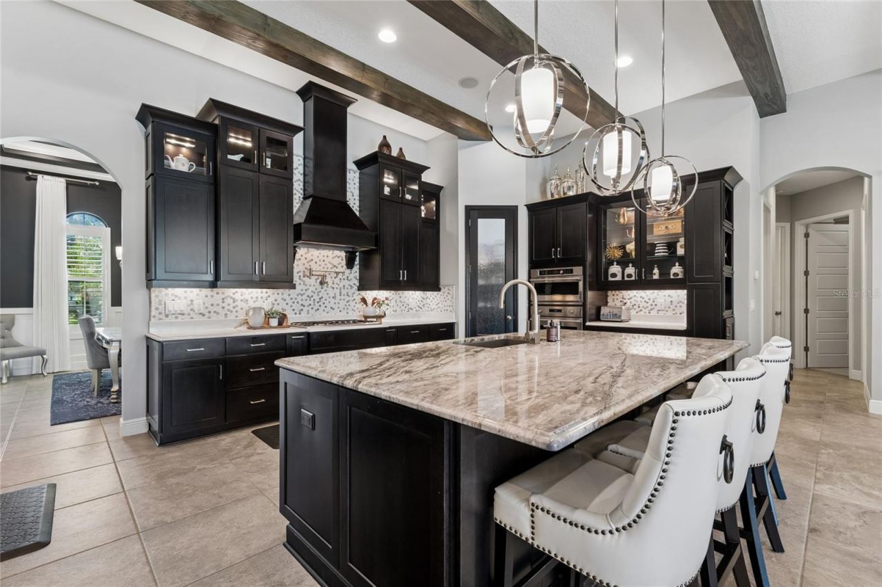20439 Lace Cascade Road, Land O Lakes, FL 34637 Photo