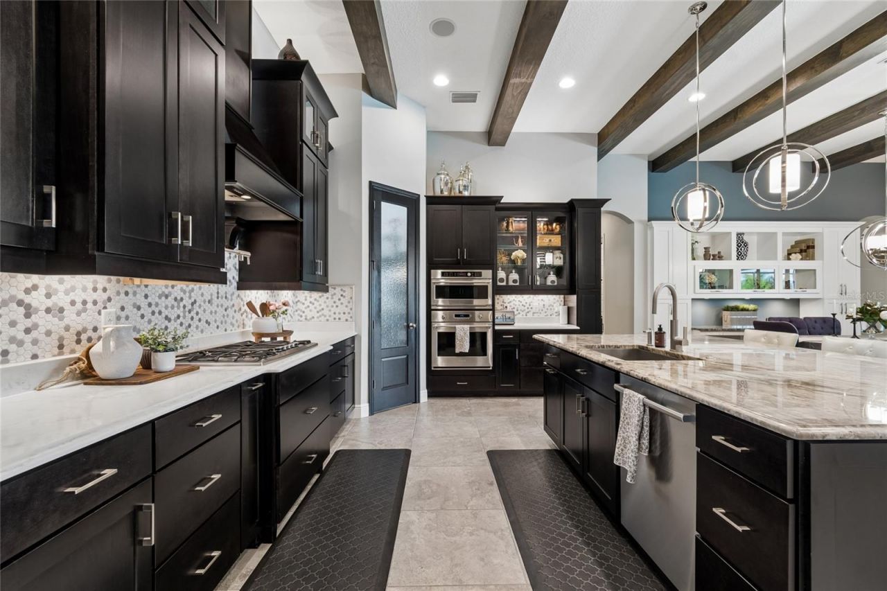20439 Lace Cascade Road, Land O Lakes, FL 34637 Photo