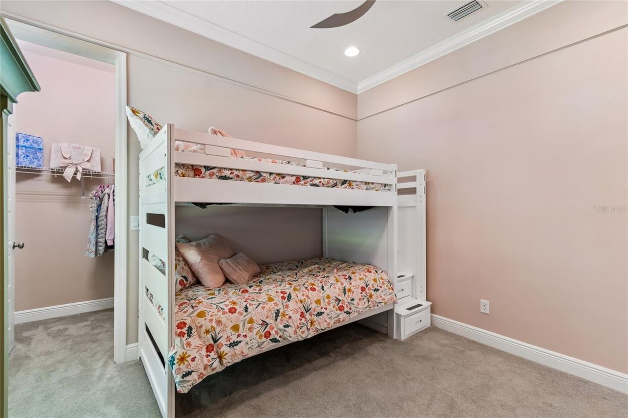 20439 Lace Cascade Road, Land O Lakes, FL 34637 Photo