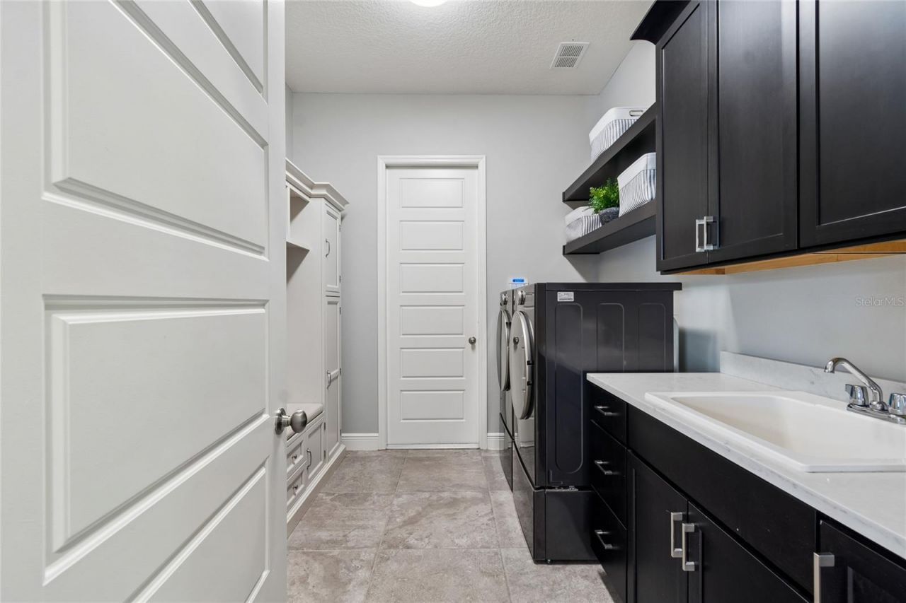 20439 Lace Cascade Road, Land O Lakes, FL 34637 Photo