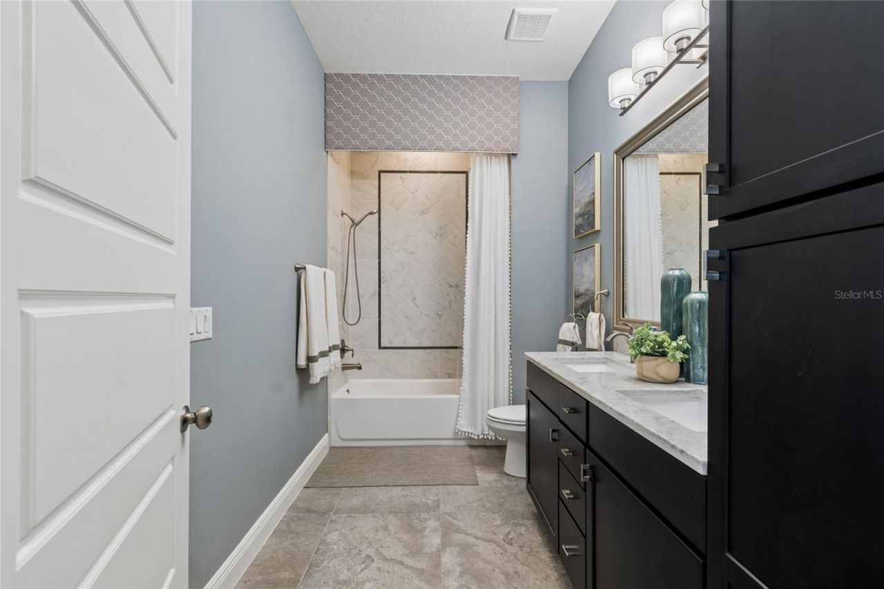 20439 Lace Cascade Road, Land O Lakes, FL 34637 Photo