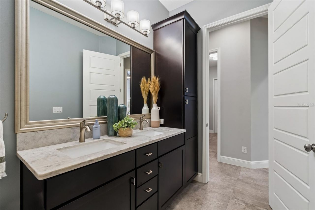 20439 Lace Cascade Road, Land O Lakes, FL 34637 Photo
