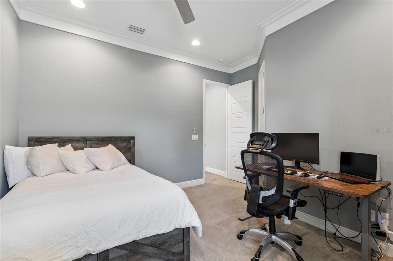 20439 Lace Cascade Road, Land O Lakes, FL 34637 Photo