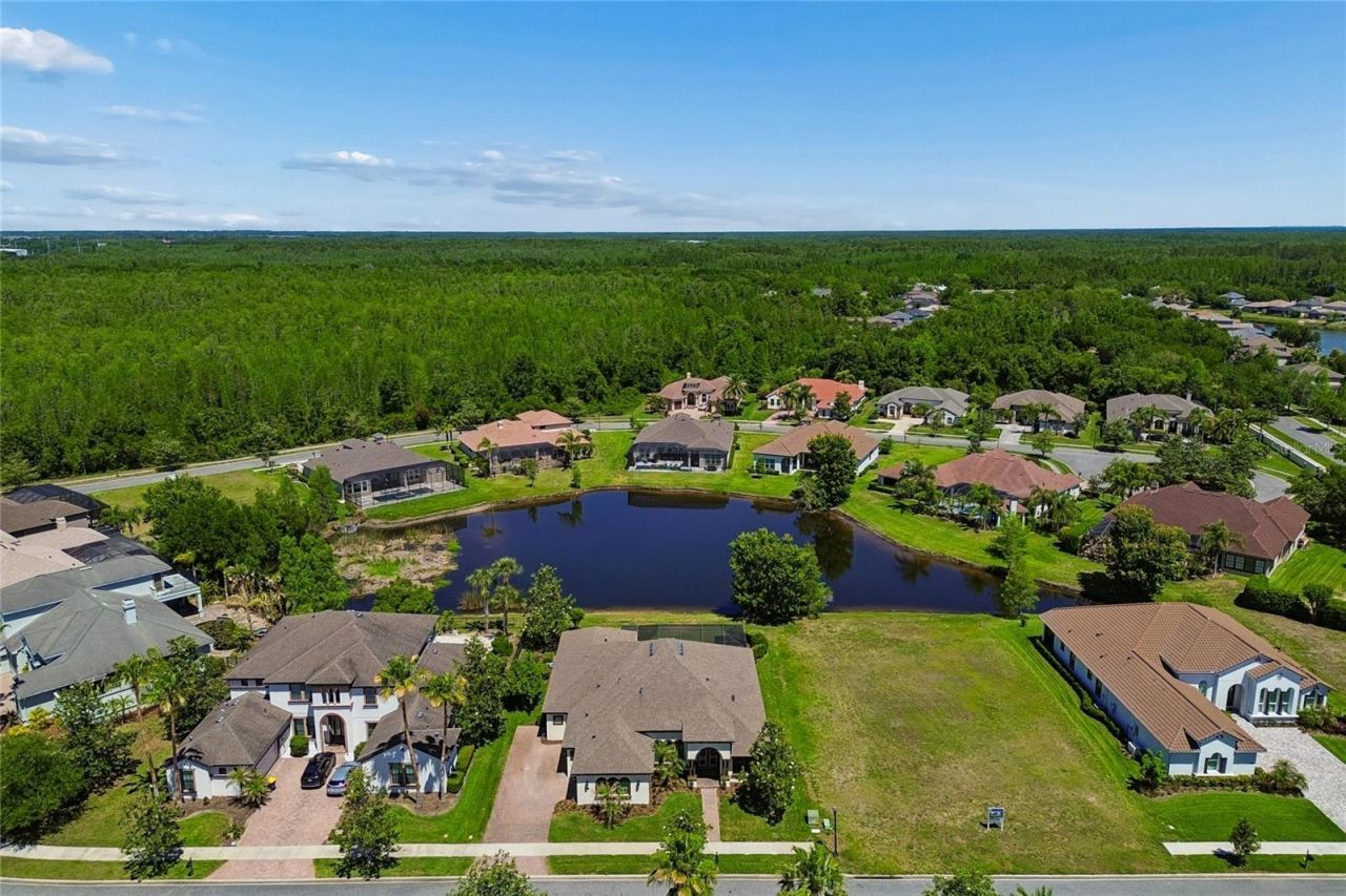 20439 Lace Cascade Road, Land O Lakes, FL 34637 Photo