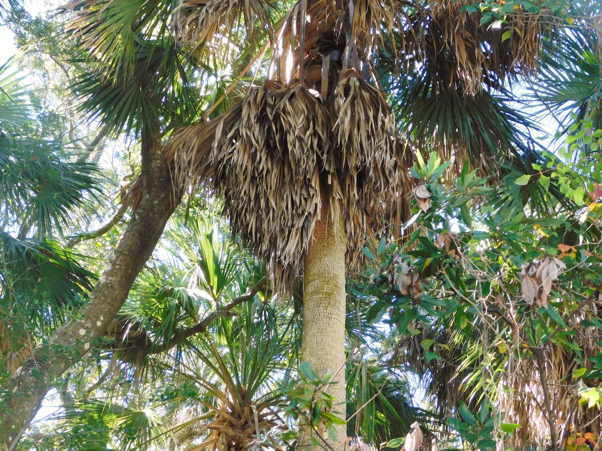 0 Cheehaw Street Photo 12