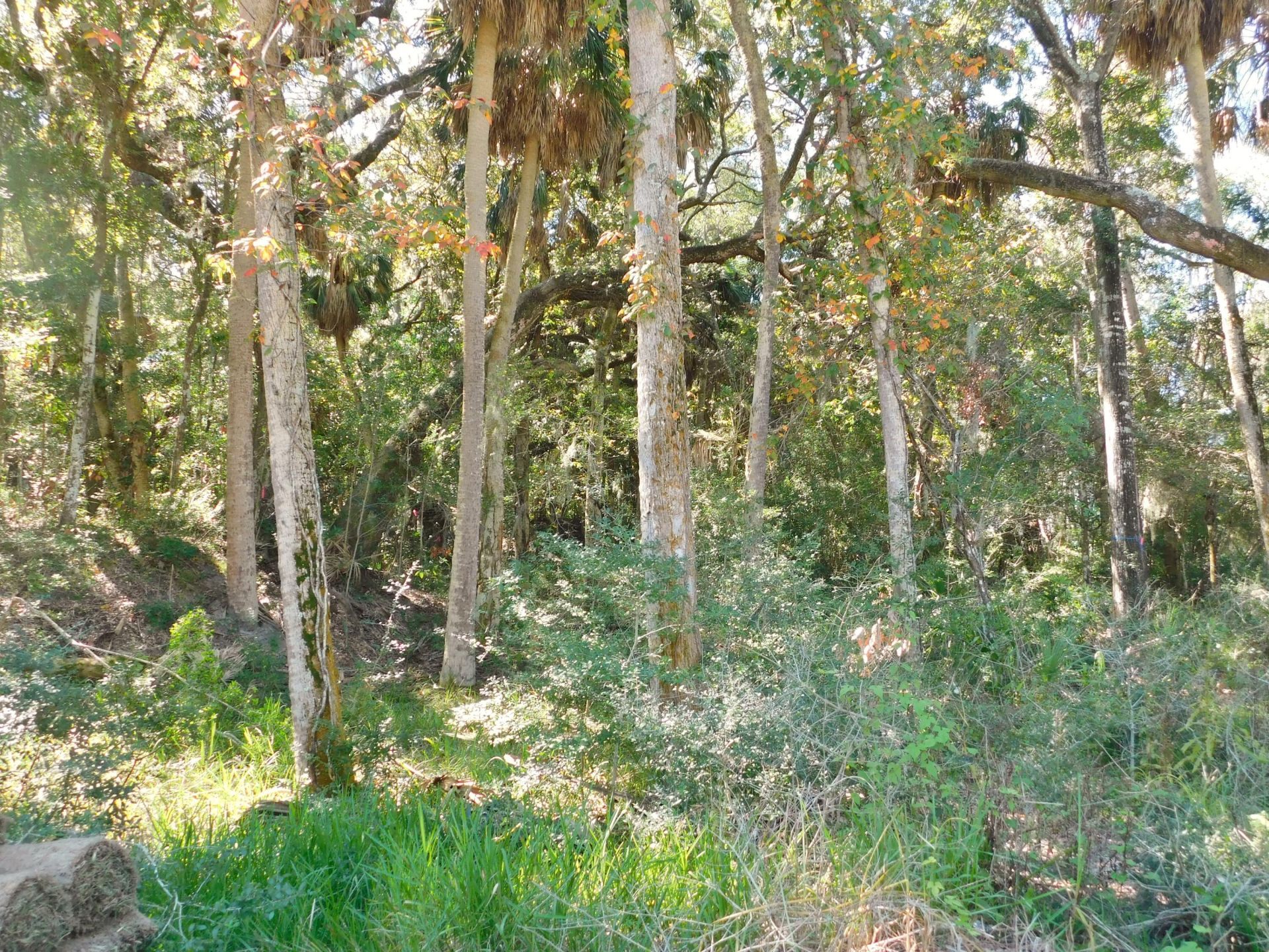 0 Cheehaw Street Photo 9