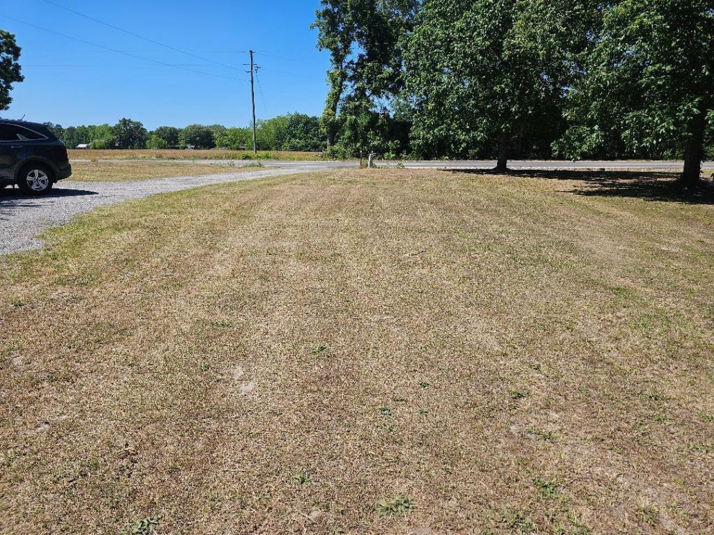 1334 Spiers Landing Road Photo 6