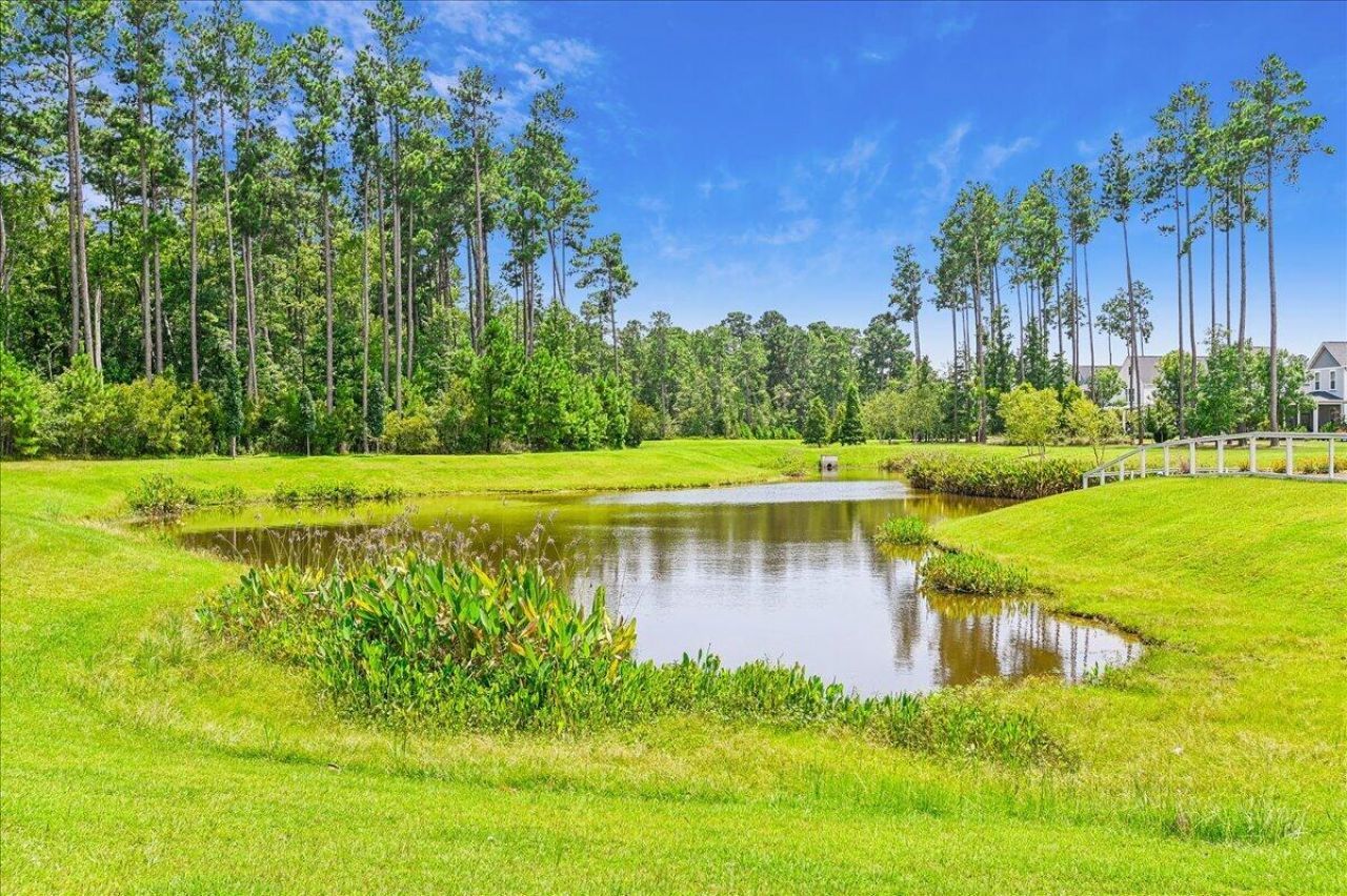 118 Sandy Bend Lane Photo 37