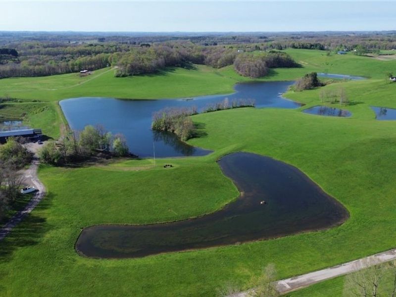 7702 North Ridge Place, Lisbon, OH 44432 Photo 3