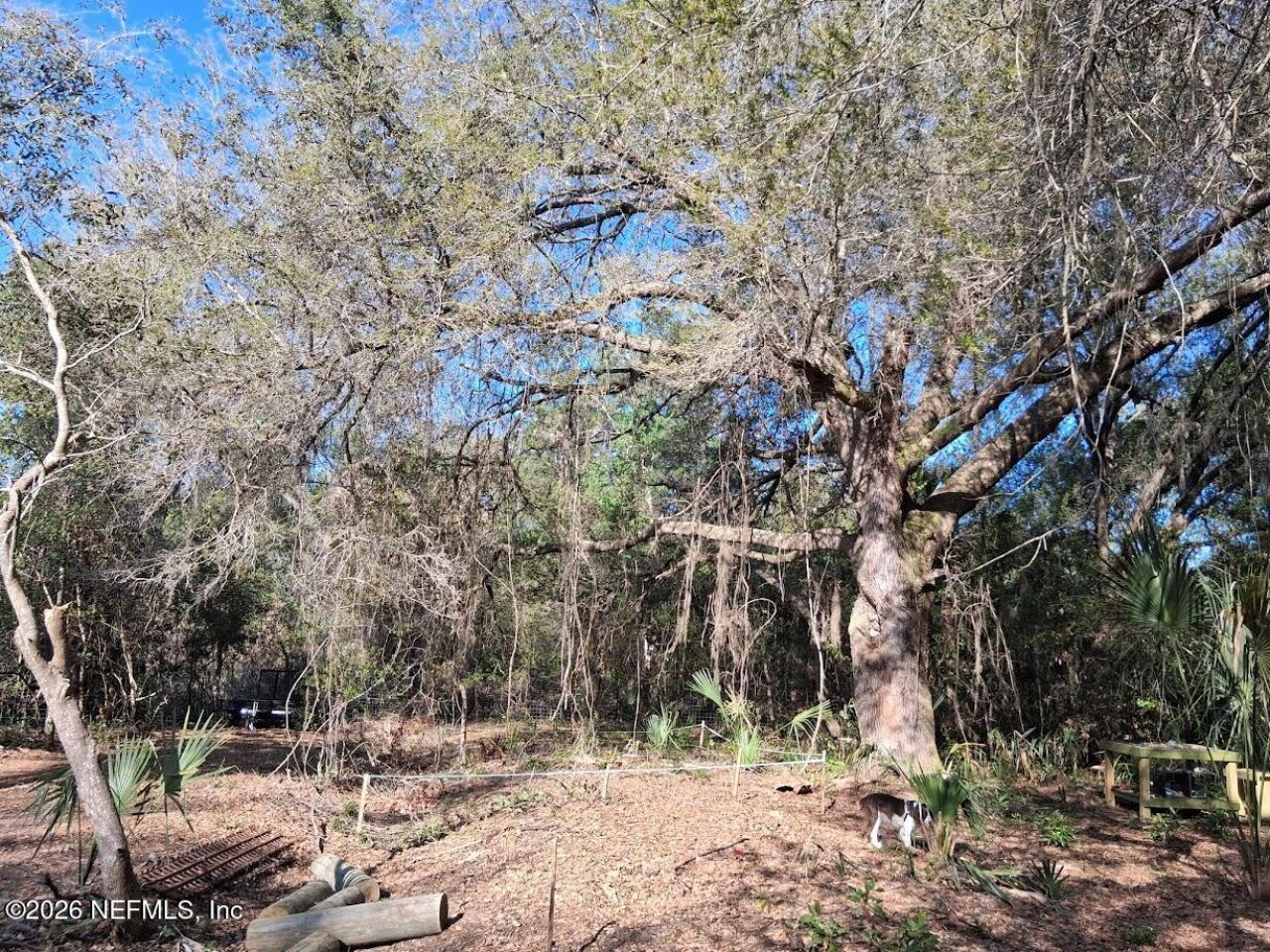910 Paradise Boulevard, Georgetown, FL 32139 Photo
