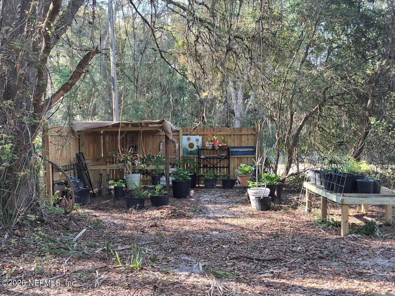 910 Paradise Boulevard, Georgetown, FL 32139 Photo