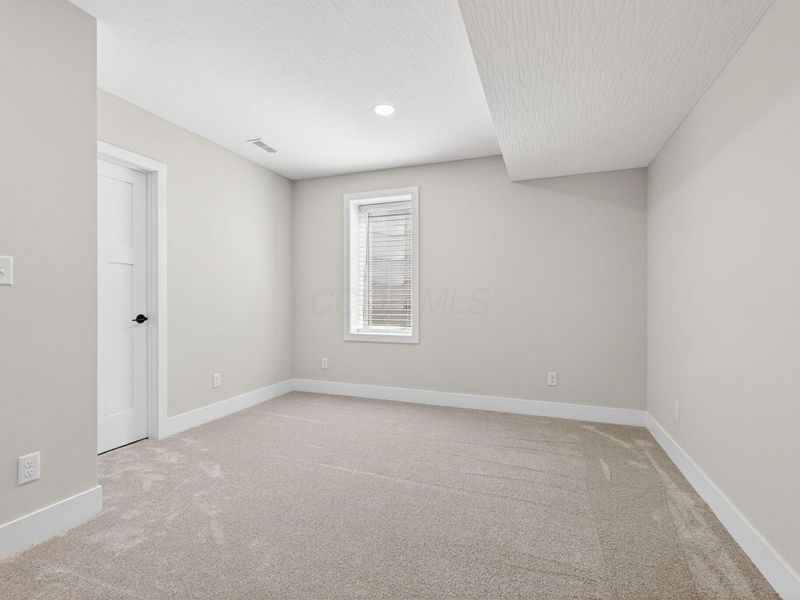 1705 Horseshoe Road, Delaware, OH 43015 Photo 46