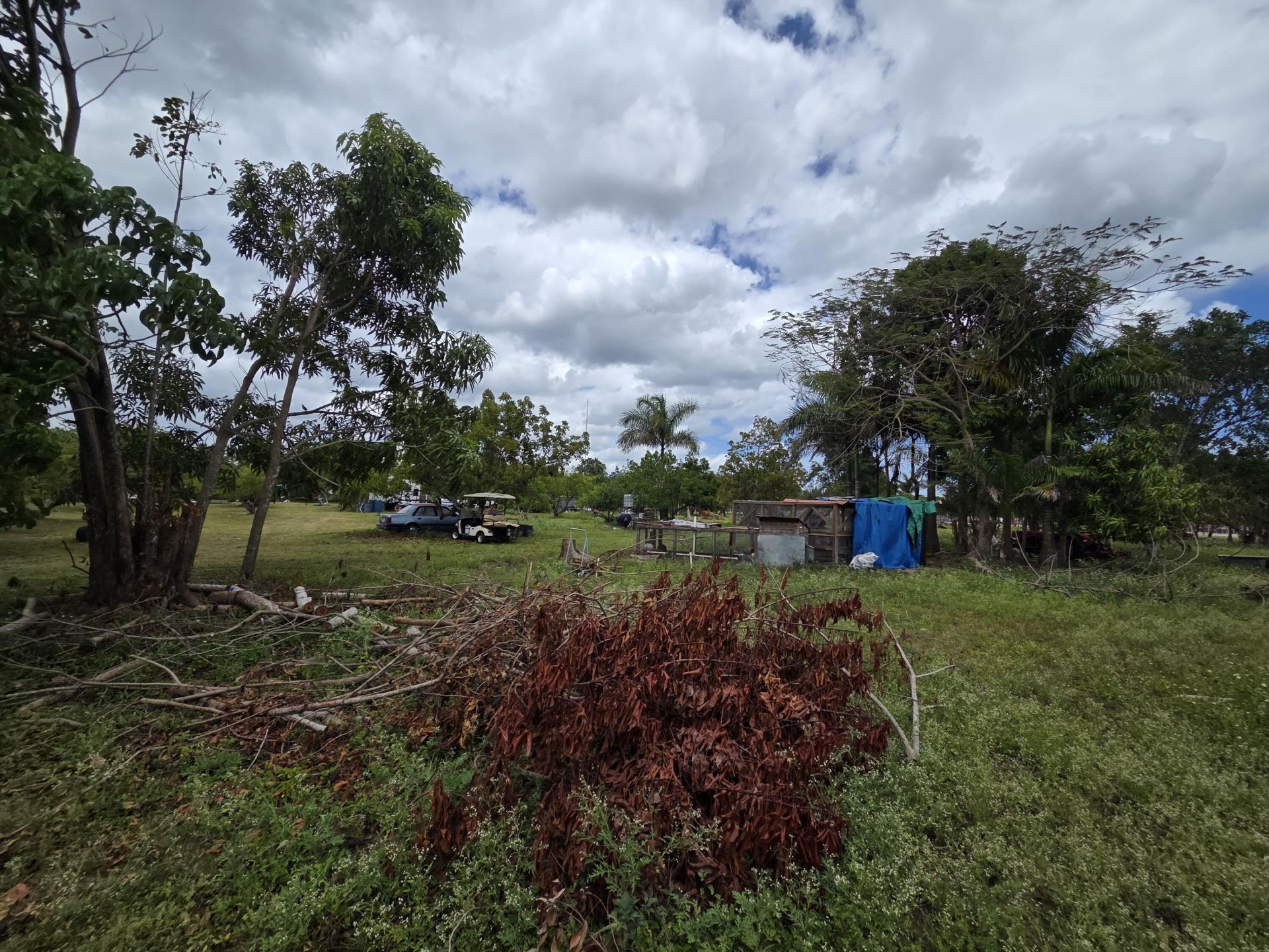 17890 SW 264th Street, Homestead, FL 33031 Photo