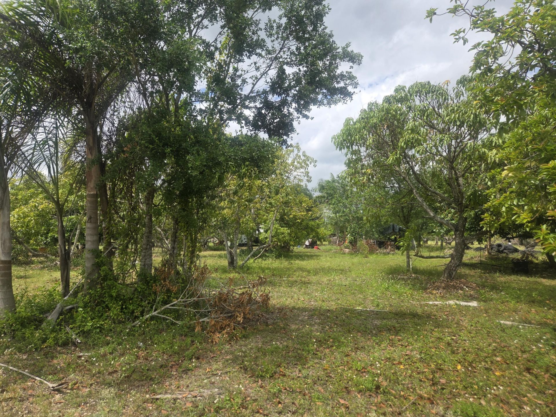 17890 SW 264th Street, Homestead, FL 33031 Photo