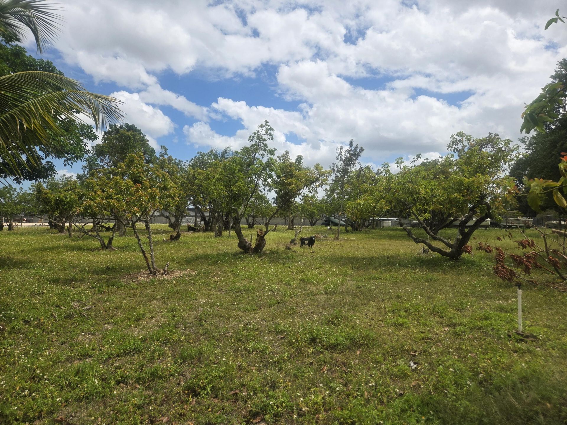 17890 SW 264th Street, Homestead, FL 33031 Photo