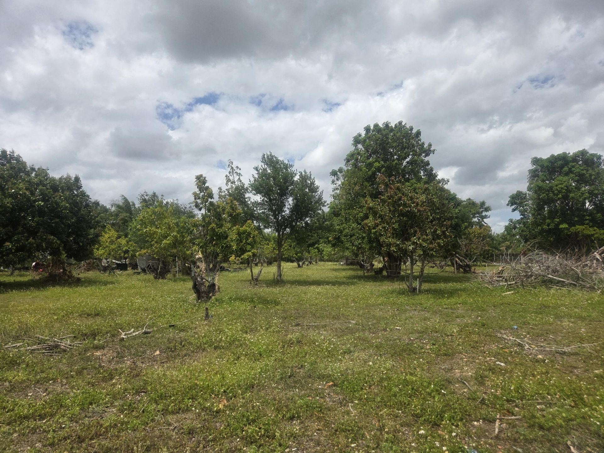 17890 SW 264th Street, Homestead, FL 33031 Photo