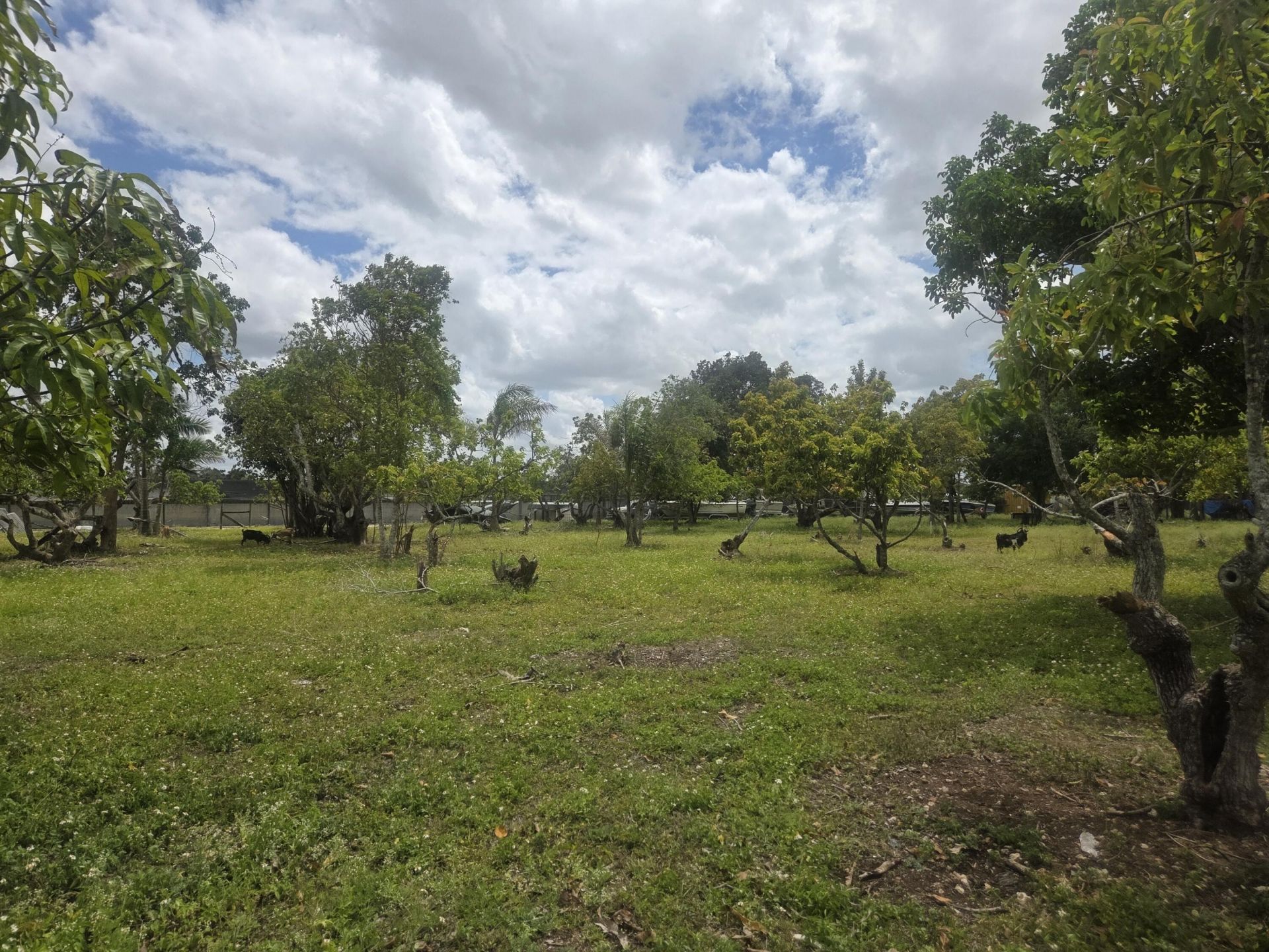 17890 SW 264th Street, Homestead, FL 33031 Photo