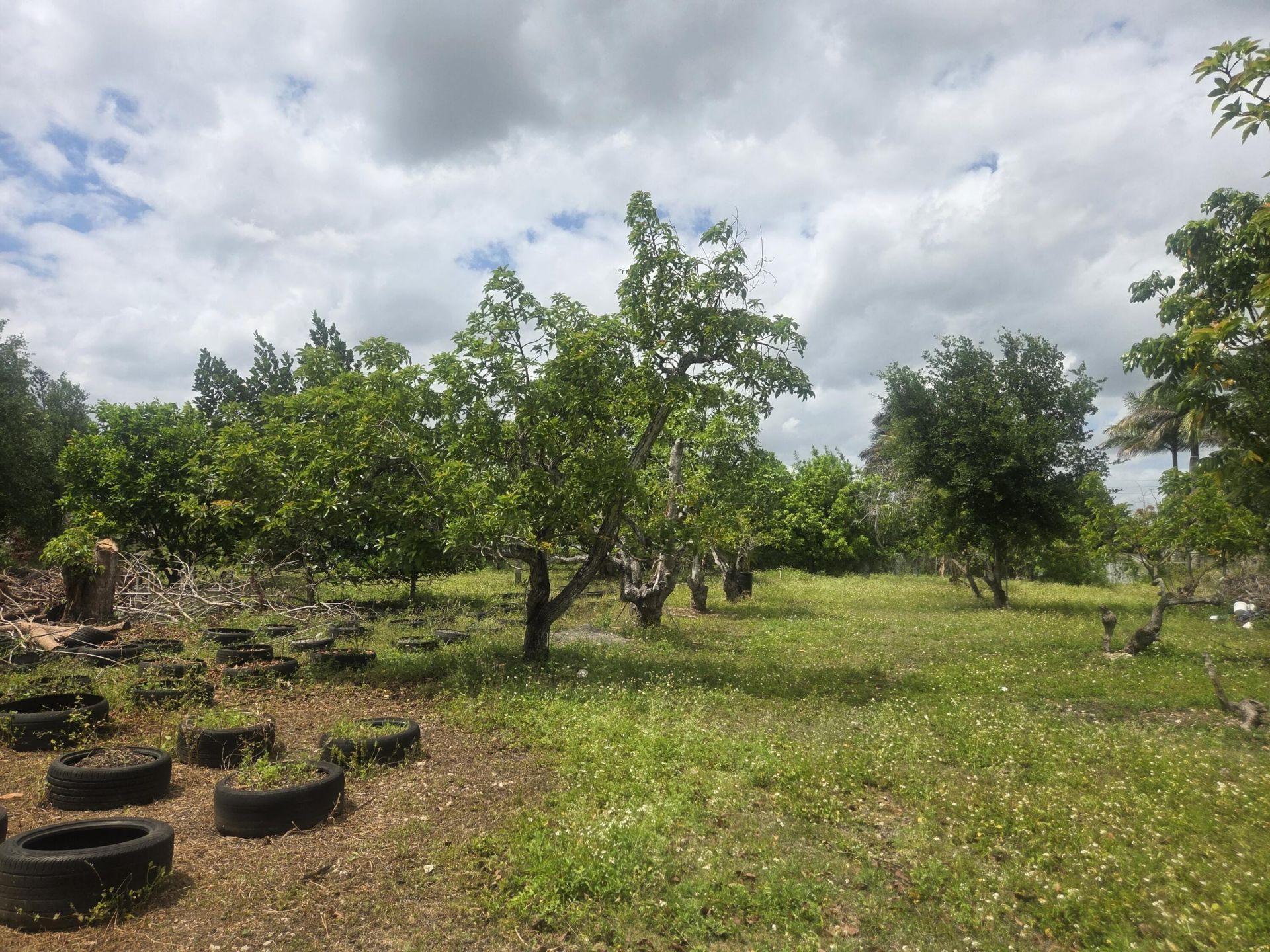 17890 SW 264th Street, Homestead, FL 33031 Photo