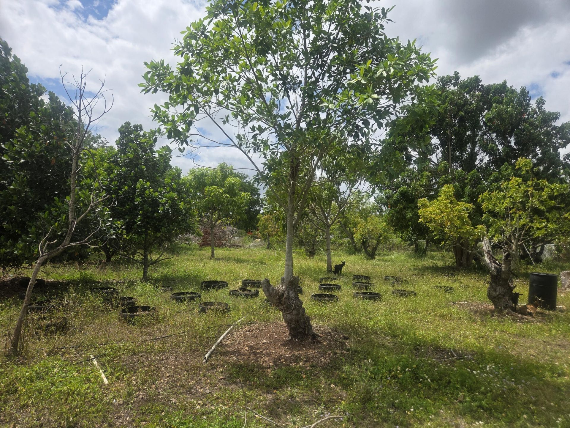 17890 SW 264th Street, Homestead, FL 33031 Photo